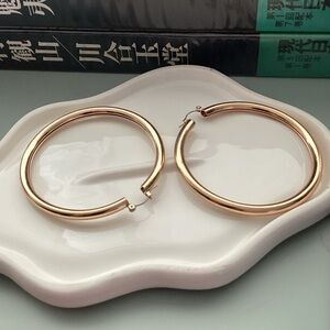 Elegant Gold Hoop Earrings